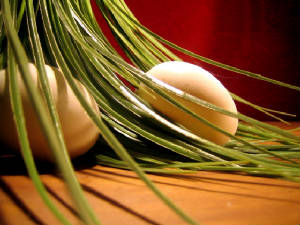 imagen3738.jpg