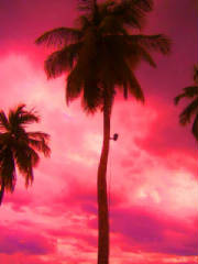 imagen448.jpg