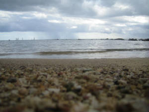 imagen463.jpg